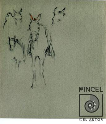Bocetos de caballo por Bolandi, Dinorah