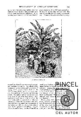 A Banana Plantation (Plantación de bananos) por Brennan, A (extranjero). Fenn, Harry (extranjero)