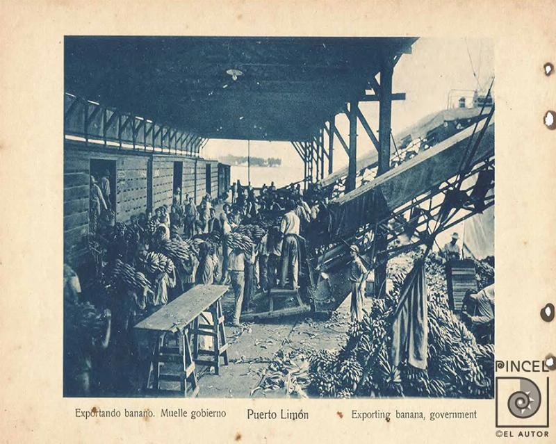 Exportando banano. Muelle gobierno por Gómez Miralles, Manuel. Documental. Patrimonio Arquitectónico.