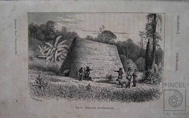 Palenquen vid Dikoblinjak Libro: "Resa I Central-Amerika 1881-1883" por Meyer X A, W (extranjero)