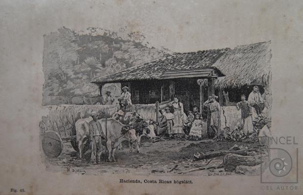 Hacienda Costa Rica högslatt Libro: "Resa I Central-Amerika 1881-1883") por Meyer X A, W (extranjero). Spöberg, A (extranjero)