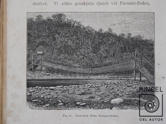 Lisan-bron öfver Pacuare-floden  del  Libro: "Resa I Central-Amerika 1881-1883" por Meyer X A, W (extranjero). Spöberg, A (extranjero)
