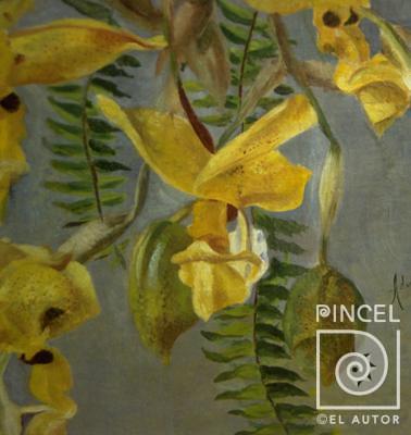Stanhopea wardii en canasta  (detalle) por Montalto, Adelita. Escuela Nacional de Bellas Artes