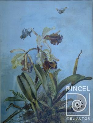 Cattleya dowiana con mariposas por Montalto, Adelita. Escuela Nacional de Bellas Artes