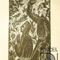 La rosa de navidad por Amighetti, Francisco