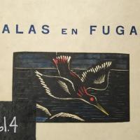 Ilustración para el libro: Alas en fuga por Amighetti, Francisco