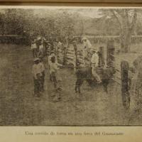 Una corrida de toros en una finca del Guanacaste por Baixench, Pablo