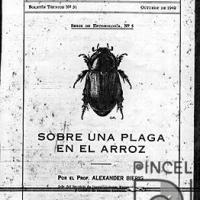 Ilustración para el boletín del Centro Nacional de Agricultura (sobre una plaga en el arroz) por Bierig, Alex