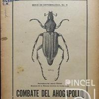 Ilustración para el boletín del Centro Nacional de Agricultura (combate del ahogapollo) por Bierig, Alex