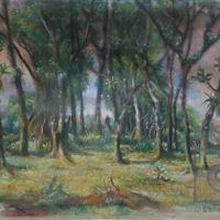 Vara Blanca. Arboleda por Bierig, Alex