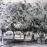 Parque de Escazú por Bolandi, Dinorah