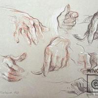 Estudio de manos por Bolandi, Dinorah