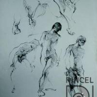 Apuntes de desnudo masculino por Bolandi, Dinorah