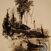 La Trinidad (Hipp's Point), confluencia del Sarapiquí con el Río de San Juan de Nicaragua, 1854. por DGH (extranjero)
