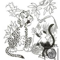 El jaguar desdentado por Díaz, Hugo