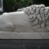 León izquierdo (vista lateral) por Durini, Francisco
