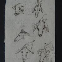 Cabezas de animales (boceto) por Echandi, Enrique