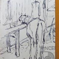 Apuntes sin título por Echandi, Enrique