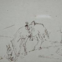 Sin título  (caballo pastando) por Echandi, Enrique