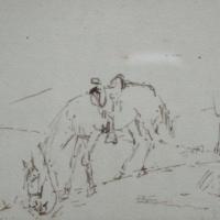 Sin título  (caballo pastando) por Echandi, Enrique