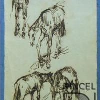 Sin título (cuatro caballos) por Echandi, Enrique