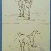 Sin título (caballos) por Echandi, Enrique