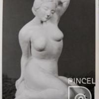 Modelo desnudo antes de vestirlo por Fonseca Boraschi, Cecilia