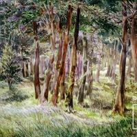Bosque altura por Fournier, Cristina
