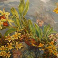 Orquídeas del Atlántico (detalle izquierdo) por Fournier, Cristina
