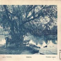 Laguna Parismina por Gómez Miralles, Manuel. Documental