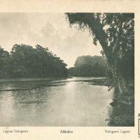Laguna Tortuguero por Gómez Miralles, Manuel. Documental.