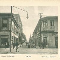 Almacén La Magnolia por Gómez Miralles, Manuel. Documental. Patrimonio Arquitectónico.