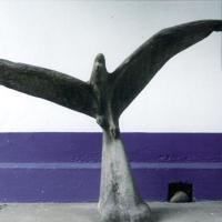 Celo (águila) por González, Hernán