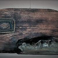 Serie Armadillos en madera por Guier, Ivette