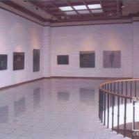 Vista de la instalación de dibujos de Miguel Hernández, en la Galería Nacional, Centro de Arte y Cultura, Agosto del 2003 por Hernández, Miguel. Grupo Bocaracá