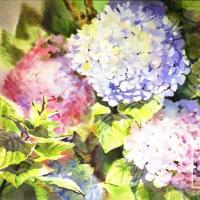 Hortensias por Hine, Ana Griselda