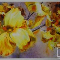 Flores del cortéz por Hine, Ana Griselda