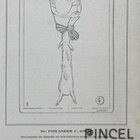 Ilustración El Cometa. Tipos del Día. Un huésped Ilustre por Hine, Enrique (ManoLito)