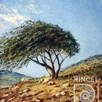 Paisaje con árbol en Ciruelas por Jiménez, Ezequiel