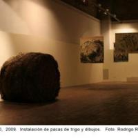 Instalación de pacas de trigo y dibujos por Jiménez, Marisel. Documental