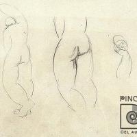 Estudio de desnudos y cabeza por Jiménez, Max