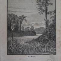 Río Matina del  Libro: "Resa I Central-Amerika 1881-1883" por Meyer X A, W (extranjero)