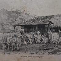 Hacienda Costa Rica högslatt Libro: "Resa I Central-Amerika 1881-1883") por Meyer X A, W (extranjero). Spöberg, A (extranjero)