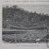 Lisan-bron öfver Pacuare-floden  del  Libro: "Resa I Central-Amerika 1881-1883" por Meyer X A, W (extranjero). Spöberg, A (extranjero)