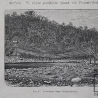 Lisan-bron öfver Pacuare-floden  del  Libro: "Resa I Central-Amerika 1881-1883" por Meyer X A, W (extranjero). Spöberg, A (extranjero)