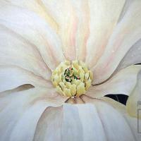 La estrella de las magnolias por Ortiz, Paulina. Grupo Bocaracá