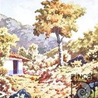 El Árbol por Pacheco, Fausto