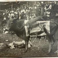 Corrida de toros en fin de año por Pacheco, Fausto