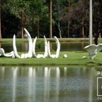 La ballena por Parra, Mario