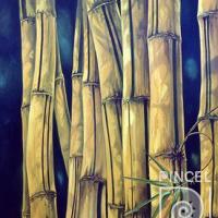 Bamboo hoja nueva por Paul, Meredith